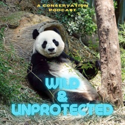 Wild & Unprotected: A Conservation Podcast
