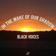 In the Wake of Our Shadow: Black Voices