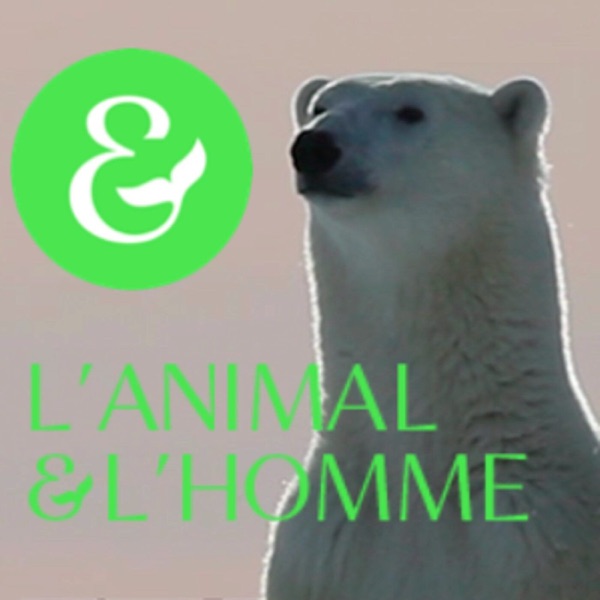 L'Animal et l'homme par Yolaine de La Bigne