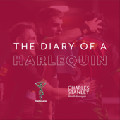 The Diary of a Harlequin - The Diary of a Harlequin