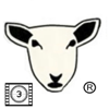 White Sheep Media's Movie Reviews - Ryan Evans/Mark Burnham