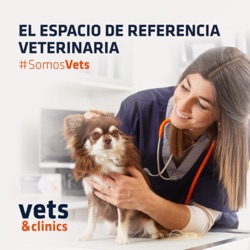 165. Vacunas obligatorias perros: ¿cuáles son y cuándo ponerlas?