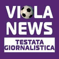 Violitudine 12 - Super Mario Gomez