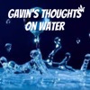 Gavin's Thoughts on Water artwork
