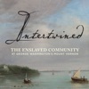 Intertwined: The Enslaved Community at George Washington’s Mount Vernon artwork