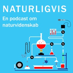 Teaser: Hvad er NEURO-PSYKOLOGI?