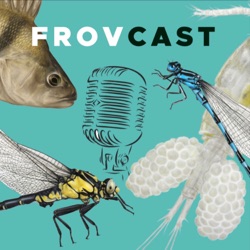 FROVcast - Voda na Váš mlýn