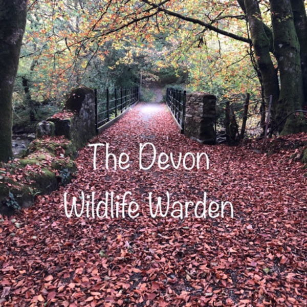The Devon Wildlife Warden