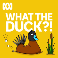 What The Duck?! podcast