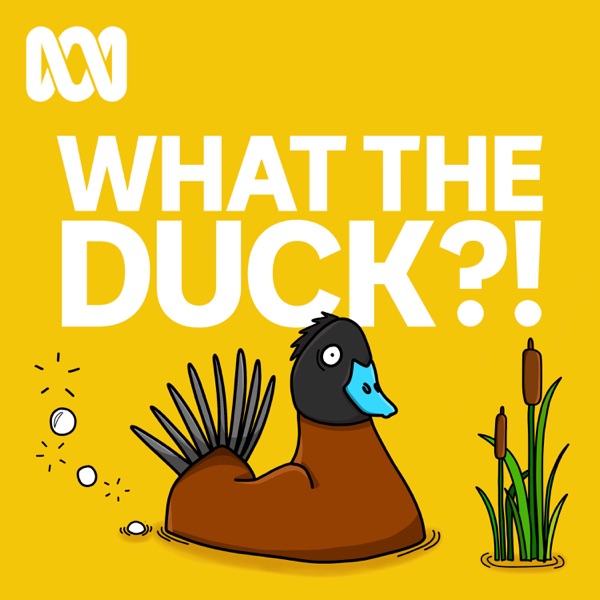 What The Duck?! Artwork