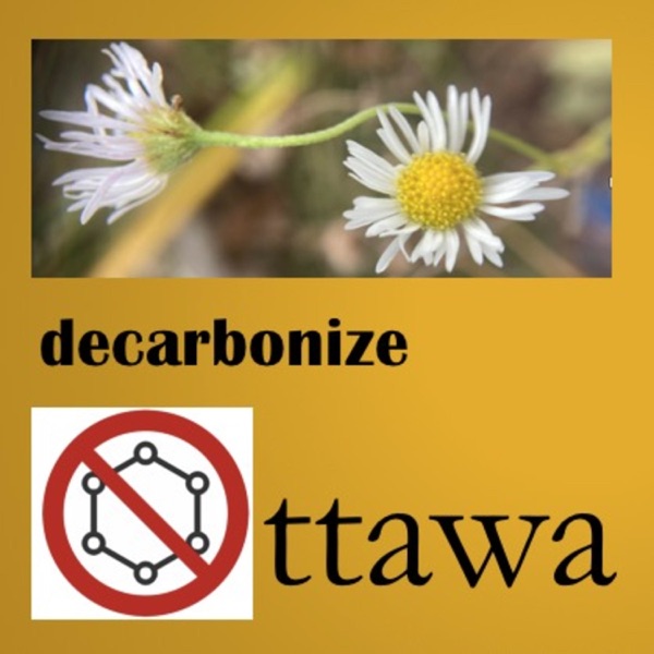 Artwork for Decarbonize Ottawa