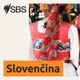 Týždeň na Slovensku - súhrn správ k 30.4.2023