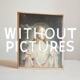 Without Pictures