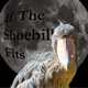 If The Shoebill Fits