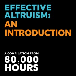 Ten: Benjamin Todd on the core of effective altruism and how to argue for it