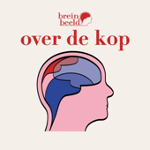 Over de Kop - Brein in Beeld