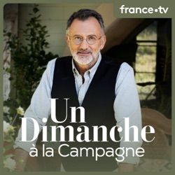 Francis Huster, Jean-François Piège, Véronic Dicaire - Un dimanche à la campagne - 19/11/23