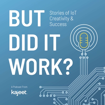 But Did it Work? Stories of IoT Creativity and Success