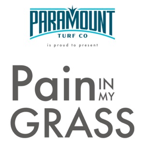 Pain In My grASS