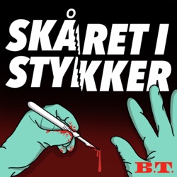 Skåret i stykker