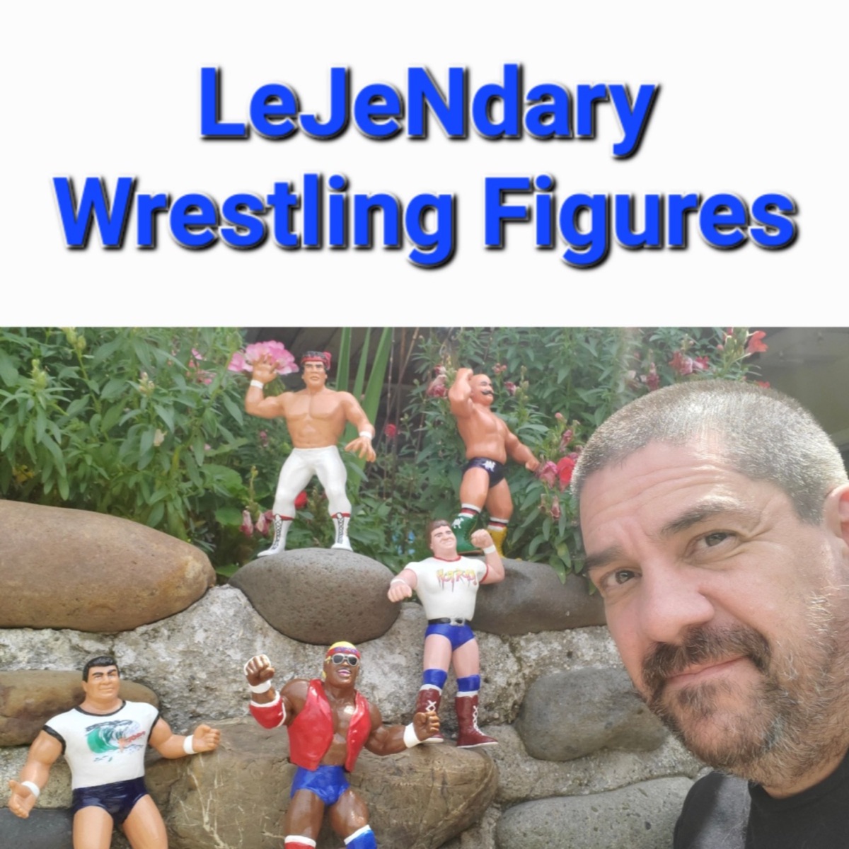 Wrestle toons shop figures