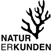 NATURerKUNDEN - Meike Rötzer