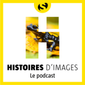 Histoires d'images - la Salamandre