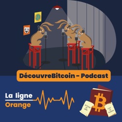 La volatilité de Bitcoin entrave son adoption au Salvador ? - Noor [La Ligne Orange #9]