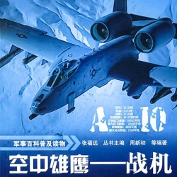 军事百科普及读物：空中雄鹰—战机