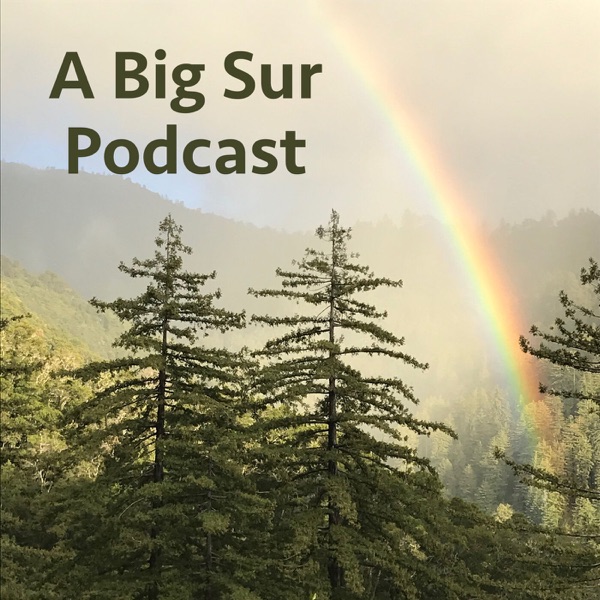 A Big Sur Podcast Artwork
