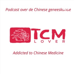 158: een podcast met Ruud Vercammen over acupunctuur, Neidan, TCM en Kung Fu