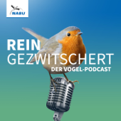 REINGEZWITSCHERT – der Vogel-Podcast - NABU