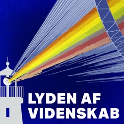 16: Psilocybin kan være nøglen til hjernens låste mønstre. - Neurobiologisk forskning i psykedelika