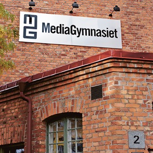 Fjälltoppen