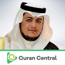 amir mohalhal