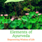 Elements of Ayurveda