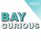 Bay Curious