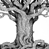 Protectors of the Wood podcast