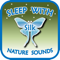 Sleep with Silk: Nature Sounds (to help insomnia, anxiety, stress, relax, focus, meditate, ASMR)