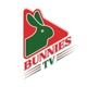 Bunnies TV