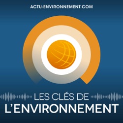 Flexibilité : la nécessaire révolution du réseau électrique