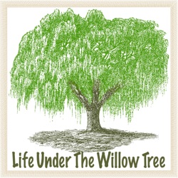 E118:  Willow Valley’s Volunteer Program for Supportive Living