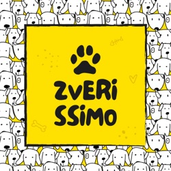 Zviera nie je vec | Načo je nám Zvieracia ombudsmanka | 🐾 s01e25