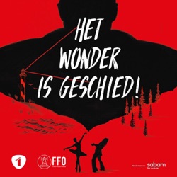 Het wonder is geschied! - 20 jaar Vlaamse film