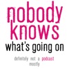 Nobody Knows What's Going On artwork