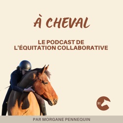 64. [Interview] Les restrictions locomotrices les plus courantes chez les chevaux avec Catherine Corne, massothérapeute équine