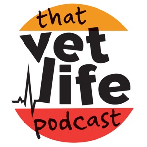 The 'So You're A Vet... Now What?' Podcast