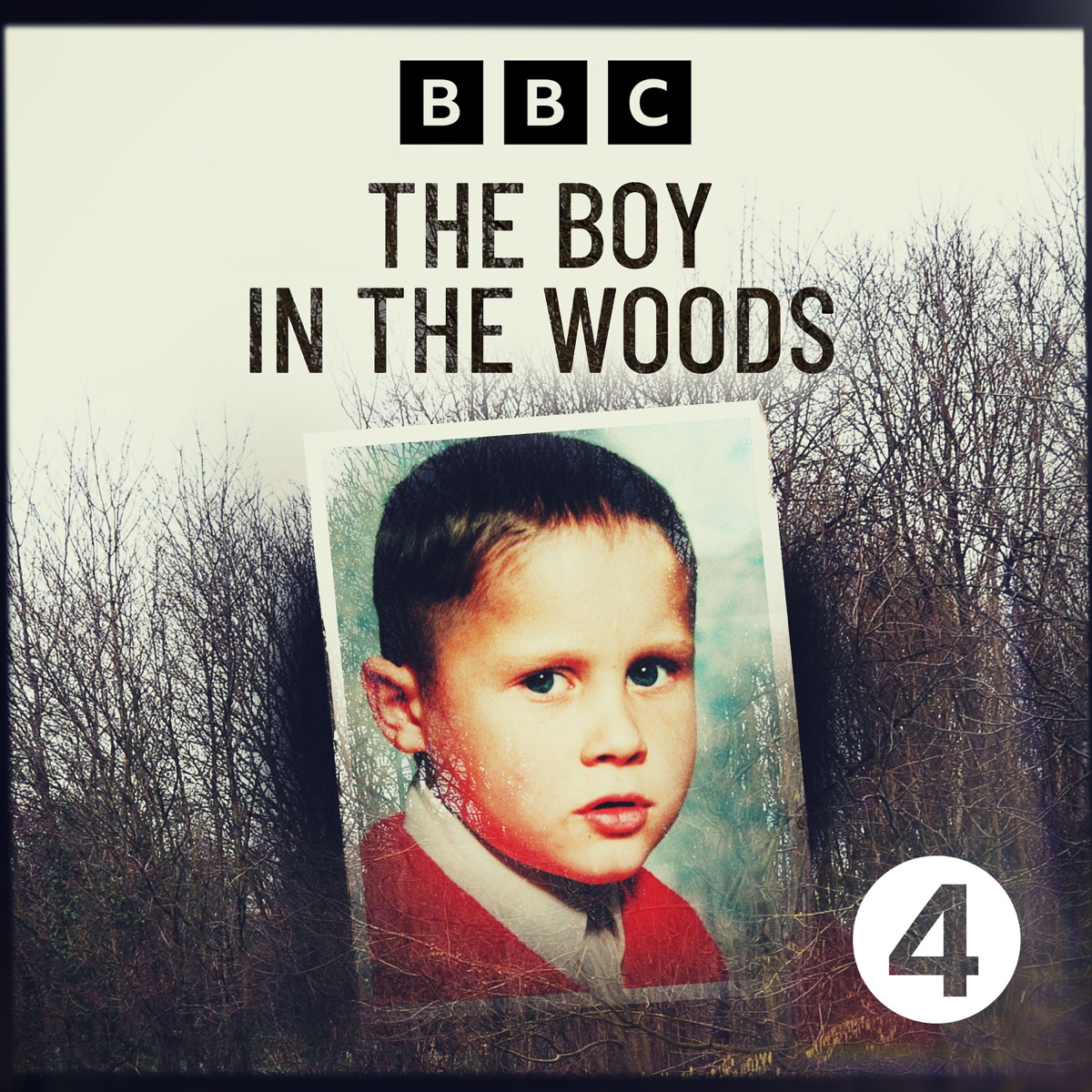 The Boy in the Woods – New Zealand Podcasts