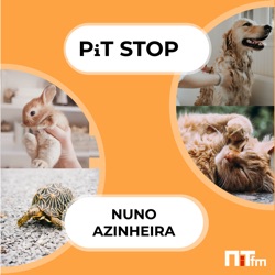 NiTfm — PiT Stop