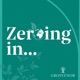 Zeroing in on Sustainability
